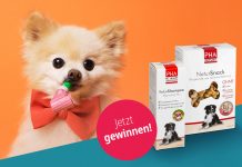 Welthundetag Gewinnspiel bodfeld Apotheke